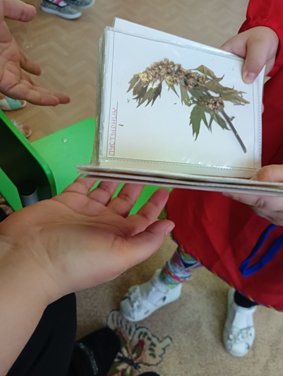 IMG20230210110927.jpg