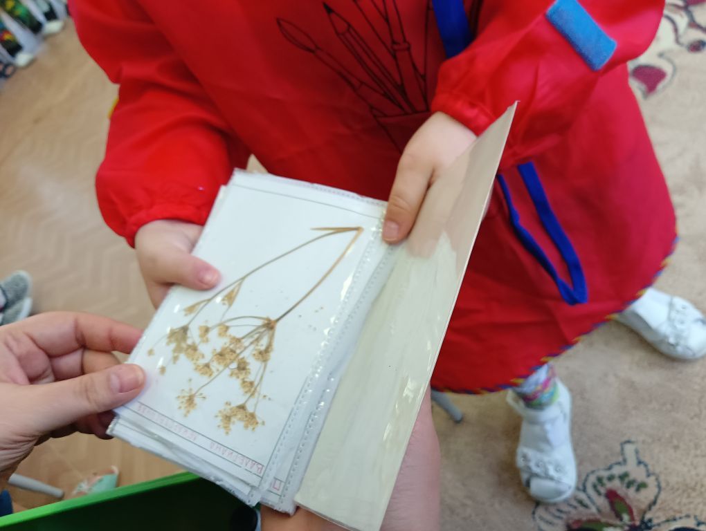 IMG20230210110918.jpg