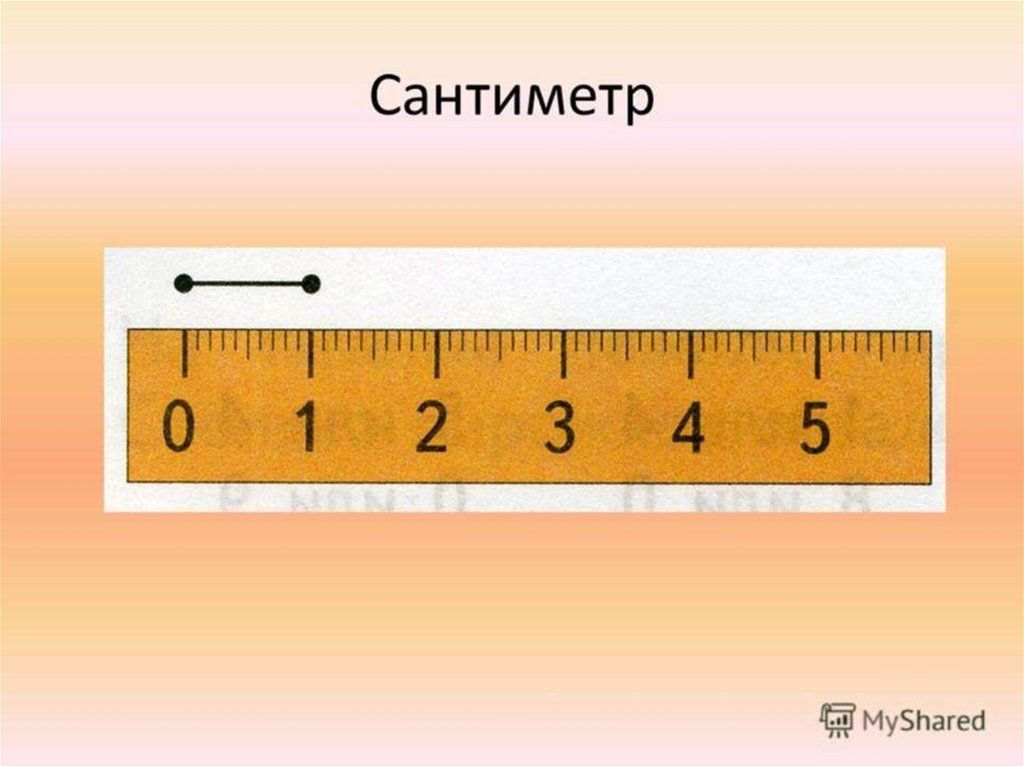 линейка.jpg