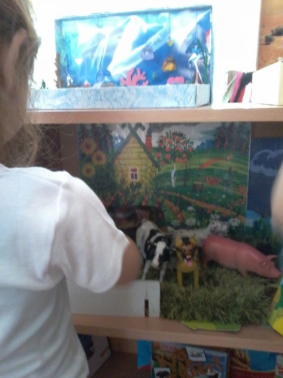 20170927_111827.jpg
