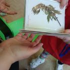 IMG20230210110927.jpg