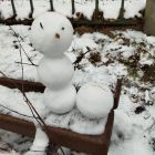 Зимн.jpg