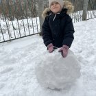IMG_7242.jpeg