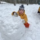 IMG_7239.jpeg