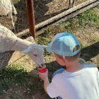 IMG_6474.jpg