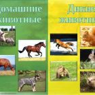 дикие и дом.jpg