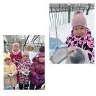 синичкин2.jpg